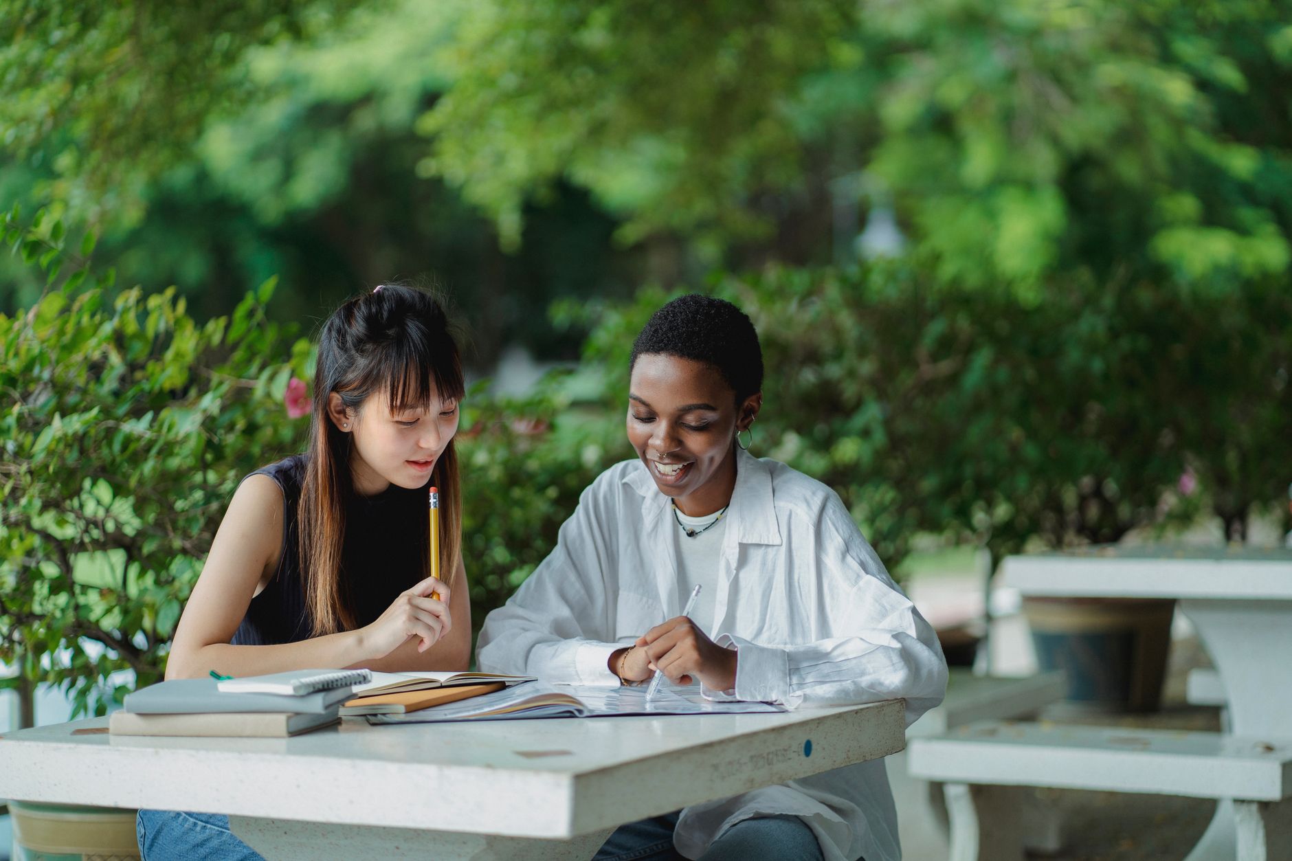 A depiction of EU universities with international students