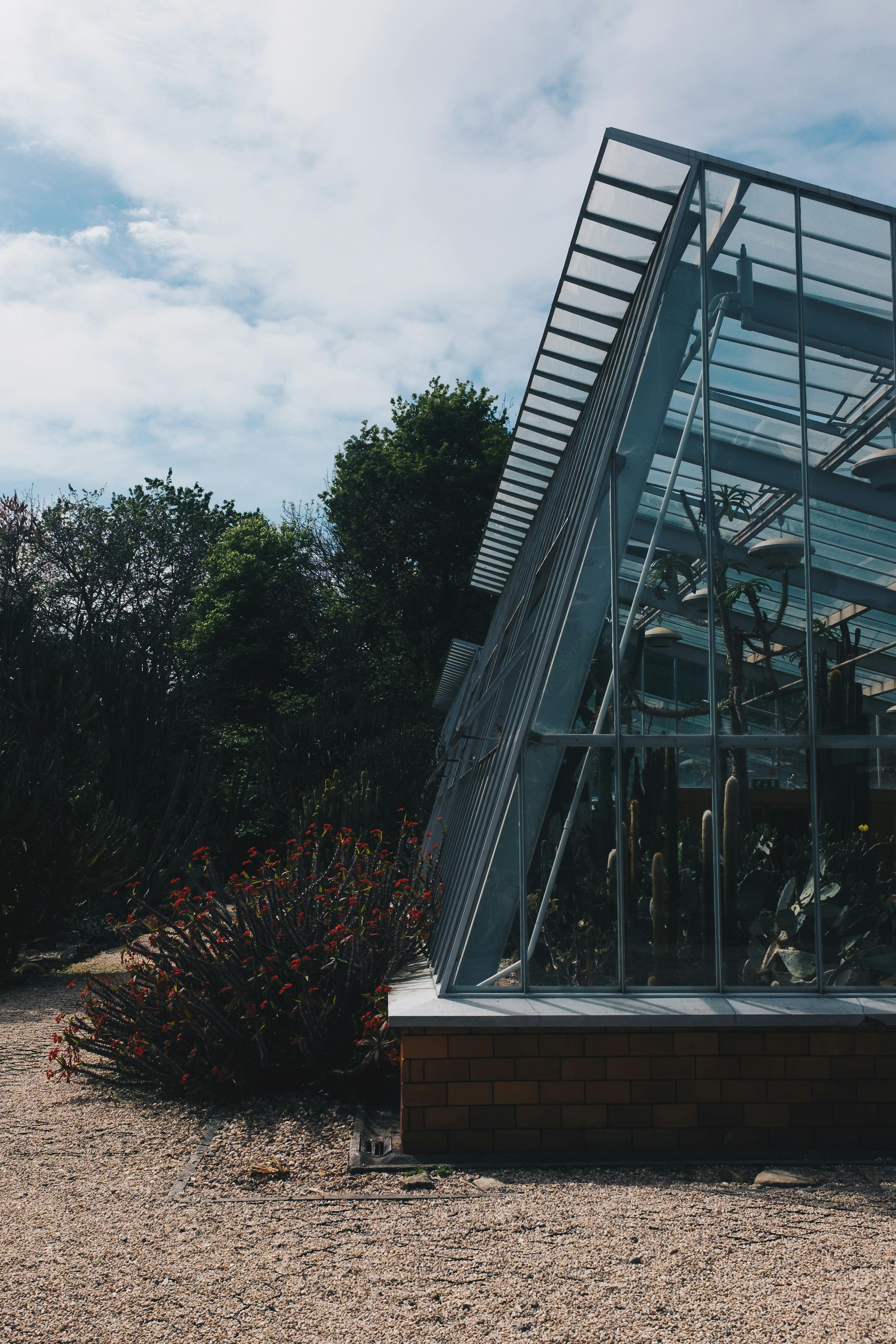 University of Adelaide: Overview, Regional 485 Benefits, and Adelaide's Affordable Lifestyle