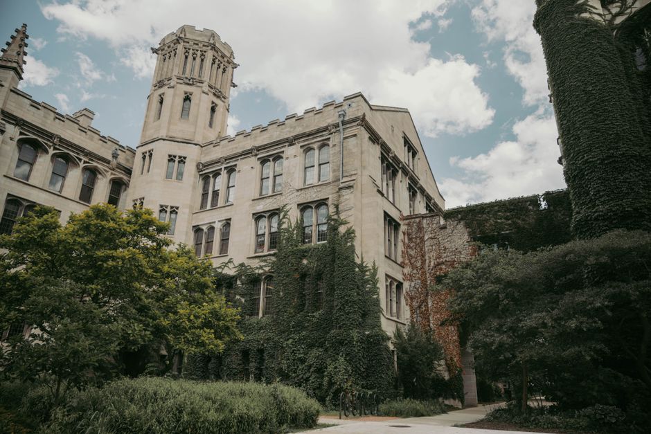mansion, nature, growth, vines, facade, fall, autumn, leaves, foliage, environment, ivy, windows, college, university, mansion, college, college, college, college, college, university, university, university, university