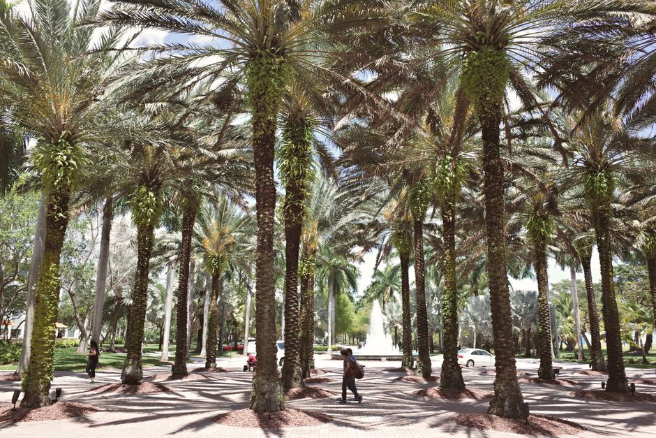Panduan Lengkap GPA Minimal University of Queensland 2026: Syarat Masuk, Program, dan Strategi Pendaftaran