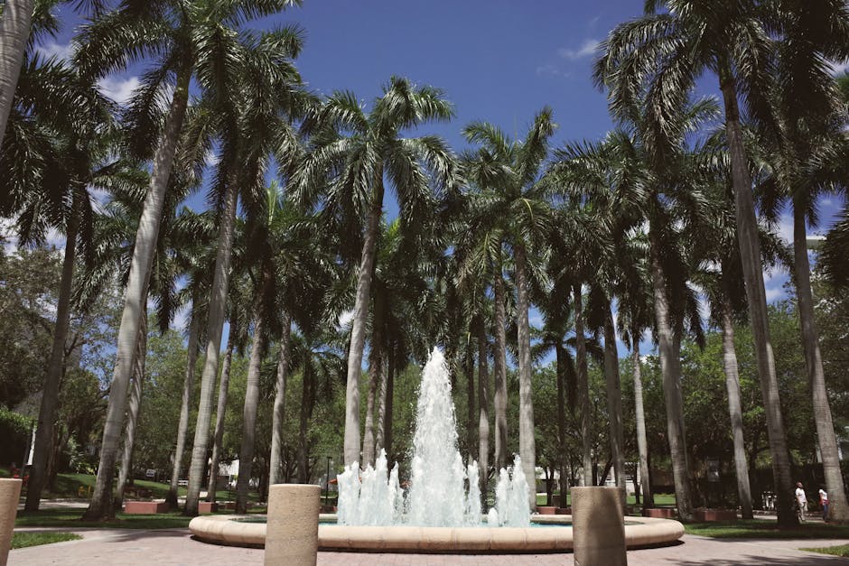 Central Queensland University Regional Study Perks for International Students: A 2026 Strategic Analysis