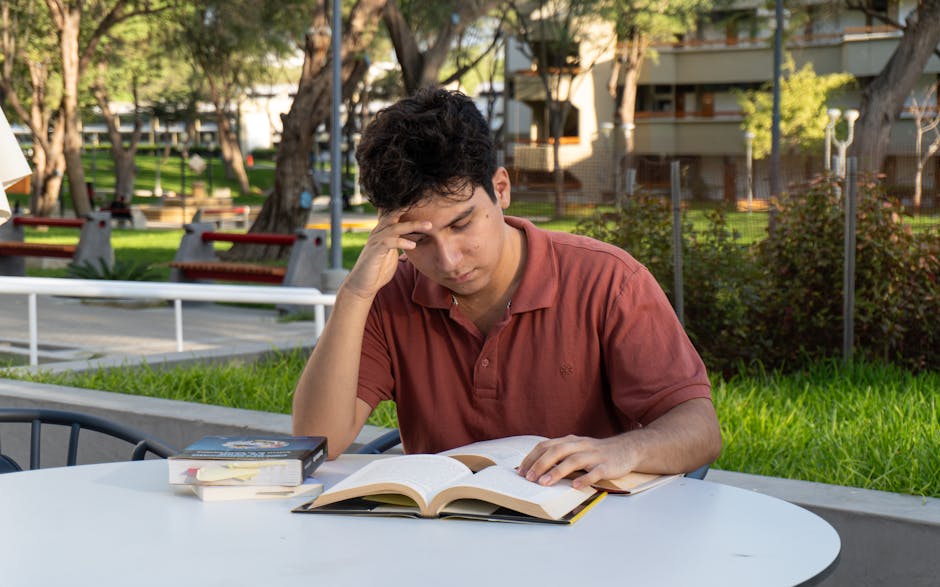 Universidades Quatro Estrelas na Austrália: Guia Completo para Estudantes Lusófonos em 2026