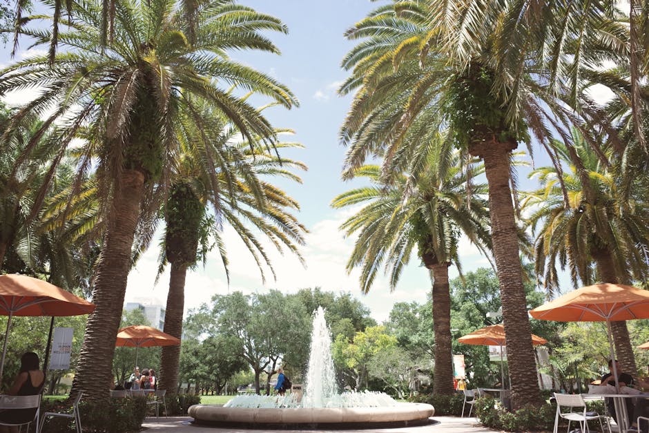 University of Queensland IELTS Requirements 2026: Complete Guide for International Students