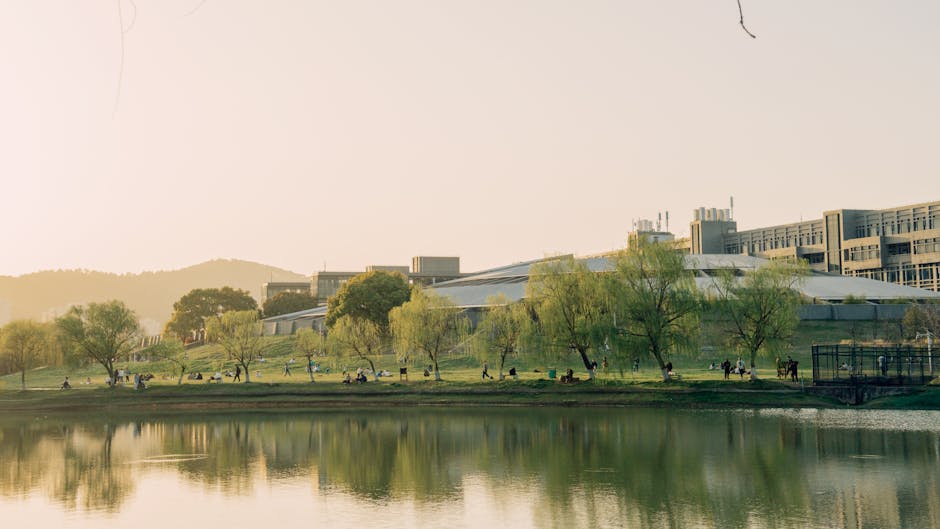 Universidades Go8 vs No Go8 en Australia: Diferencias Clave para Estudiantes Internacionales en 2026