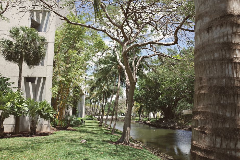 University of Queensland vs QUT Engineering: A Data-Driven Comparison for International Students