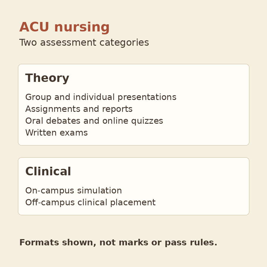 Original diagram listing theory assessments including presentations, reports, debates, quizzes and written exams, plus clinical assessment in simulation and placement.