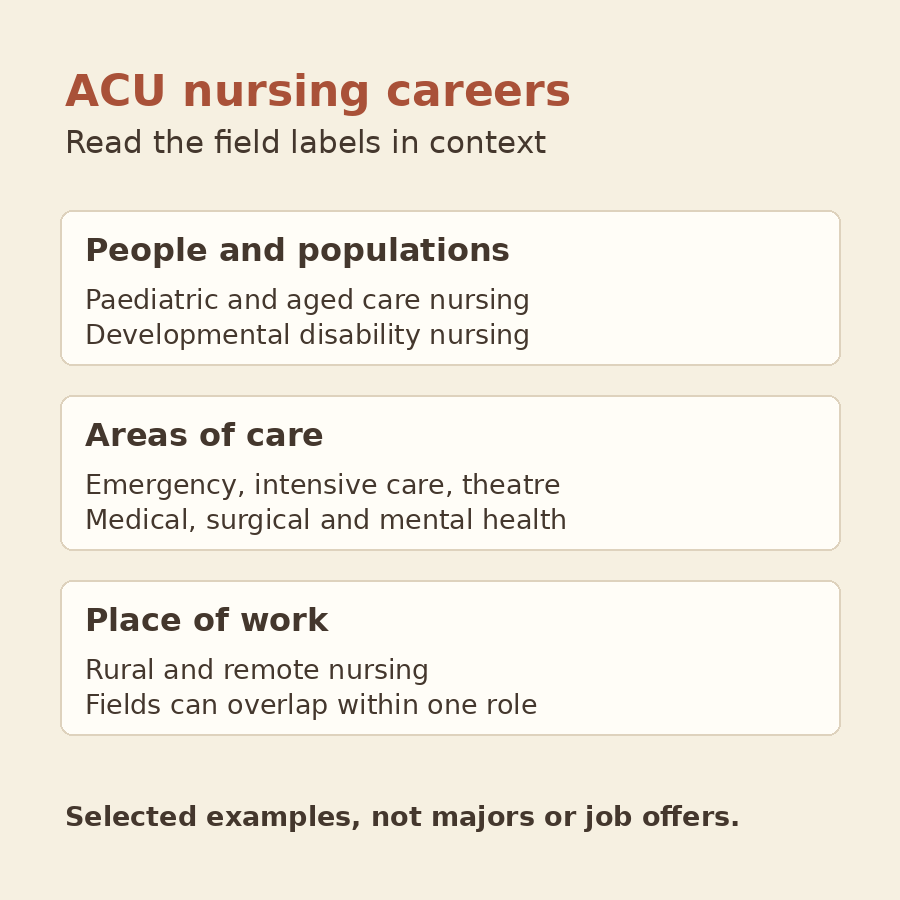 Original diagram using selected workshop nursing fields to distinguish population, area of care and place of work.
