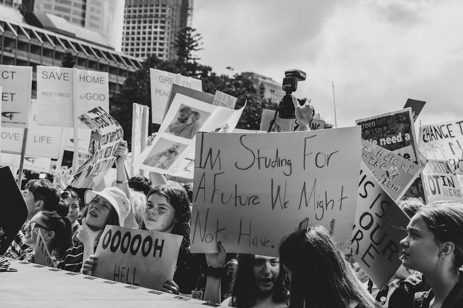 オーストラリア大学留学とビザ却下：AAT上訴手続きの全流れと日本人学生向け実践ガイド