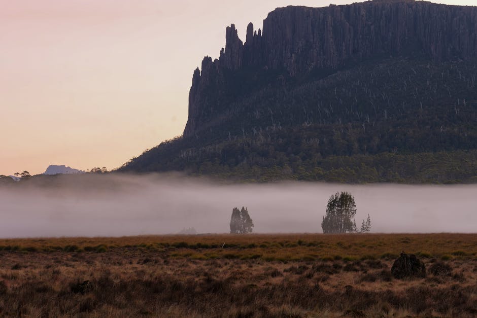 Hiking Clubs for International Students at University of Tasmania: A Complete Guide to Study, Community, and Career Pathways