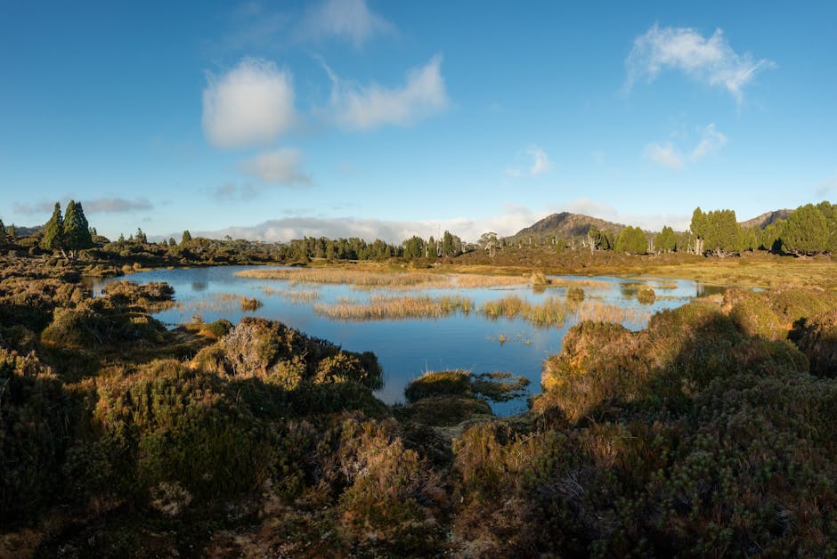 Hobart untuk Mahasiswa Internasional: Budaya, Gaya Hidup, dan Biaya Hidup 2026