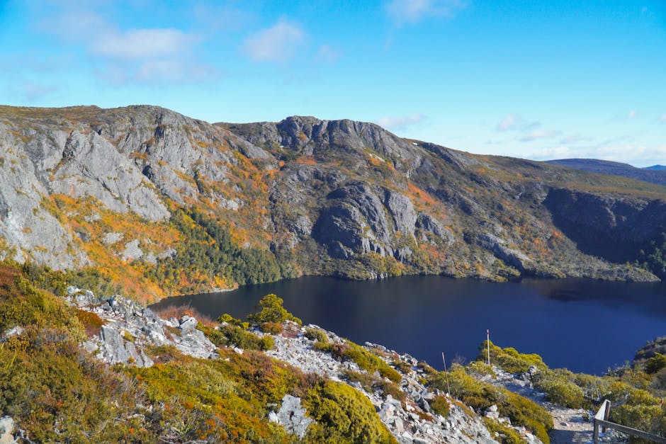 Ẩm thực Hobart 2026: Hướng dẫn chi tiết cho sinh viên quốc tế về món ngon và chi phí