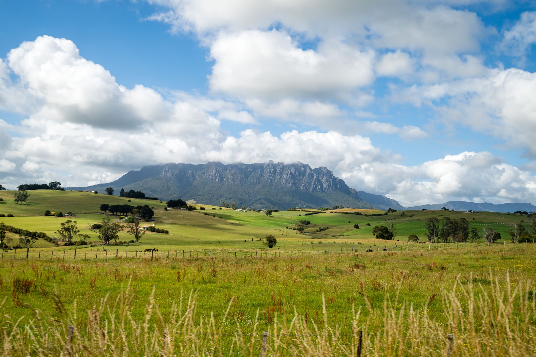 University of Tasmania International Scholarships: Three Case Studies on Eligibility, Retention, and Total Savings