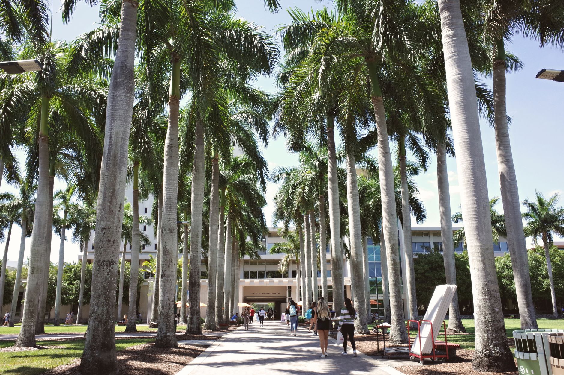 University of Queensland’s Support for International Students: A Case Archive of Five Cohorts (2020–2024)