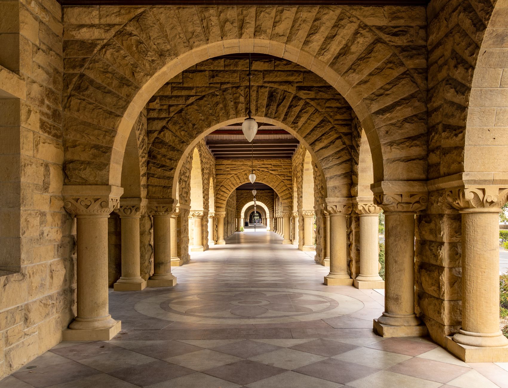 Bachelor of Nursing at USYD: Clinical Placement Hours, ATAR Cut-Off, and Registration Pathways for International Students 2024-2025